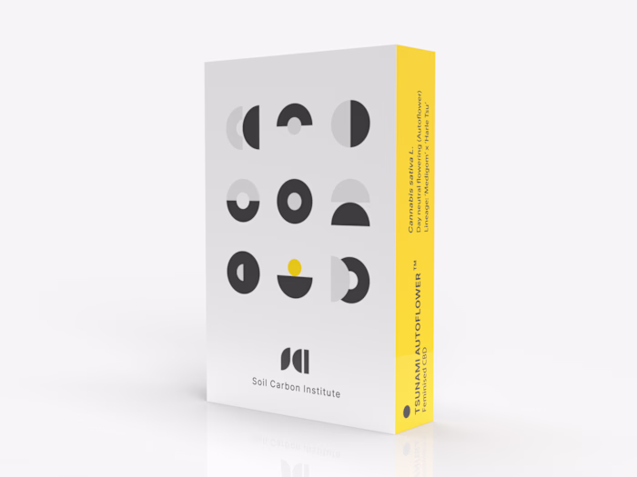 SCI Pod Visual Identity & Packaging Design