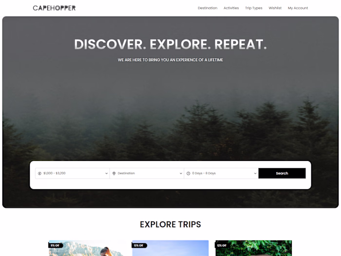 CapeHopper - A travel website