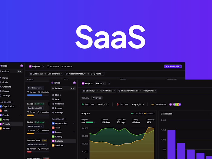 SaaS Web Designs