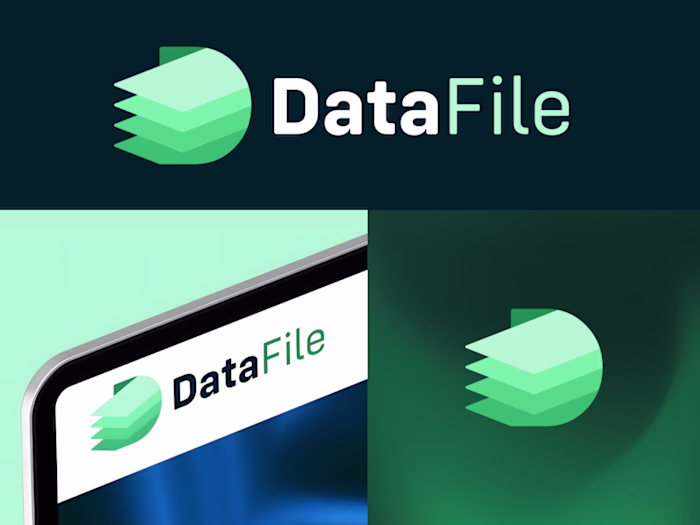 DataFile — Brand Identity Case