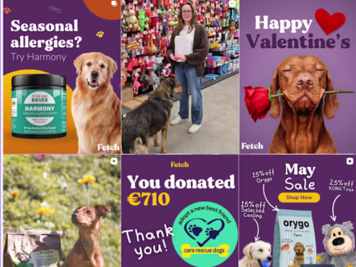 Social Media Template Design for Pet Retail Brand – Fetch