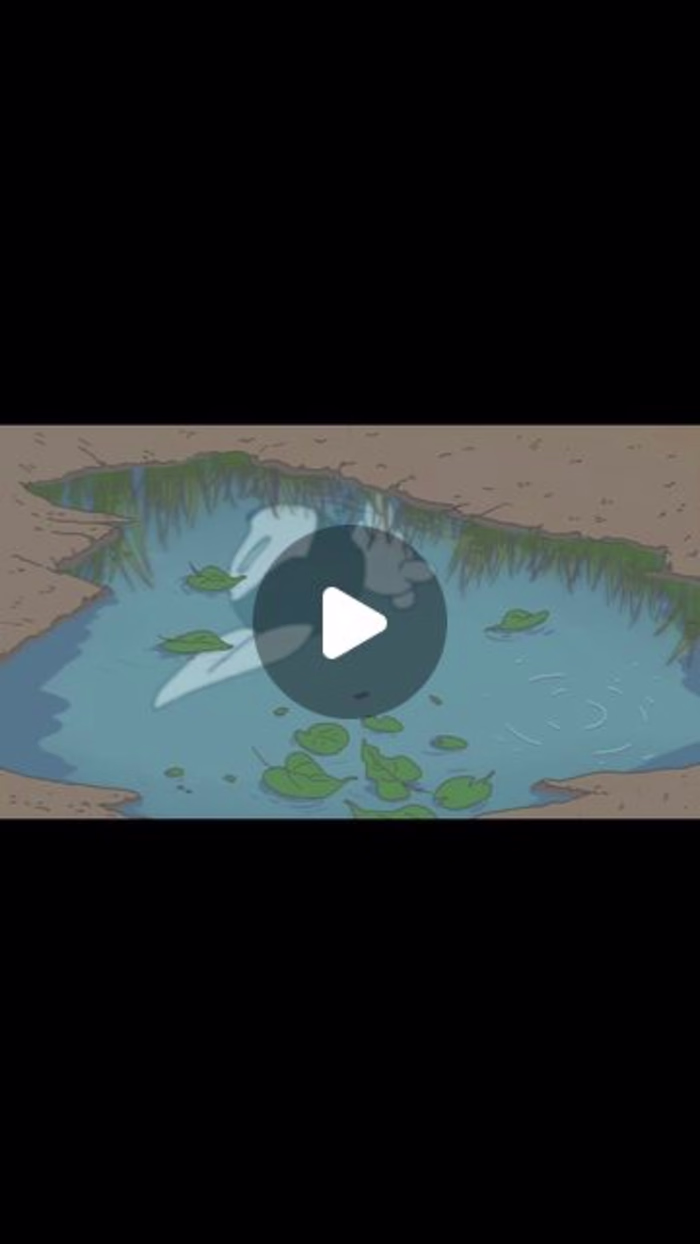 Mo Beshir 🇵🇸 on Instagram: “A mashup of scenes from my Animat…