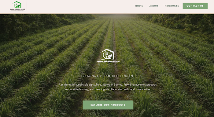 Build & Design Website 