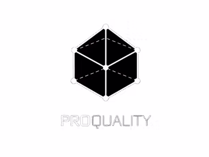 Pro Quality Inspection Website Design and SEO Optimization