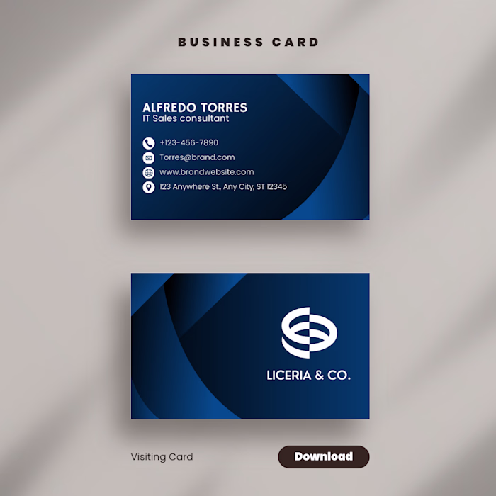 Professional Business Card