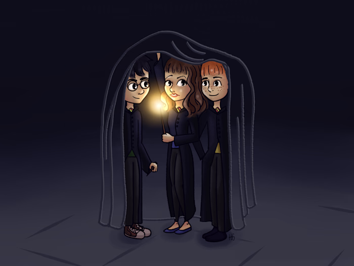 Harry‑potter's‑Invisible‑Cloak