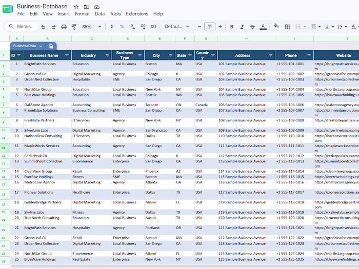 Business Data Management in Excel