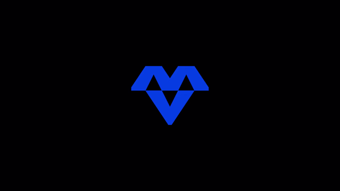 MetaDigital Logo Mark & Visual Identity