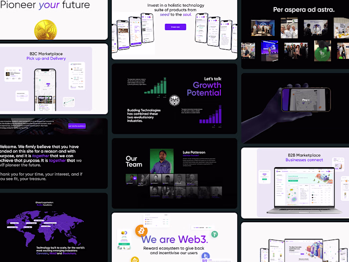 Web3, Cannabis, SaaS, B2B, B2C - Interactive Landing Page