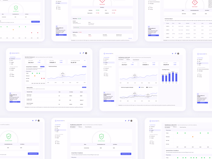Business Health Pro — Product Design & Digital Experience