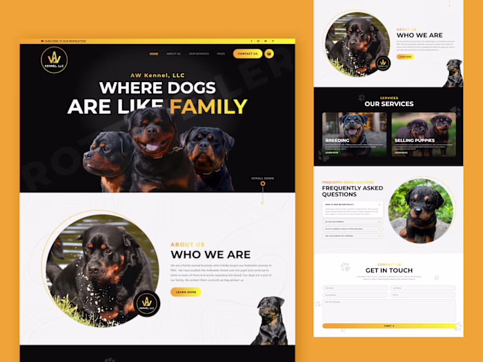 Pet Care Website Design & Development