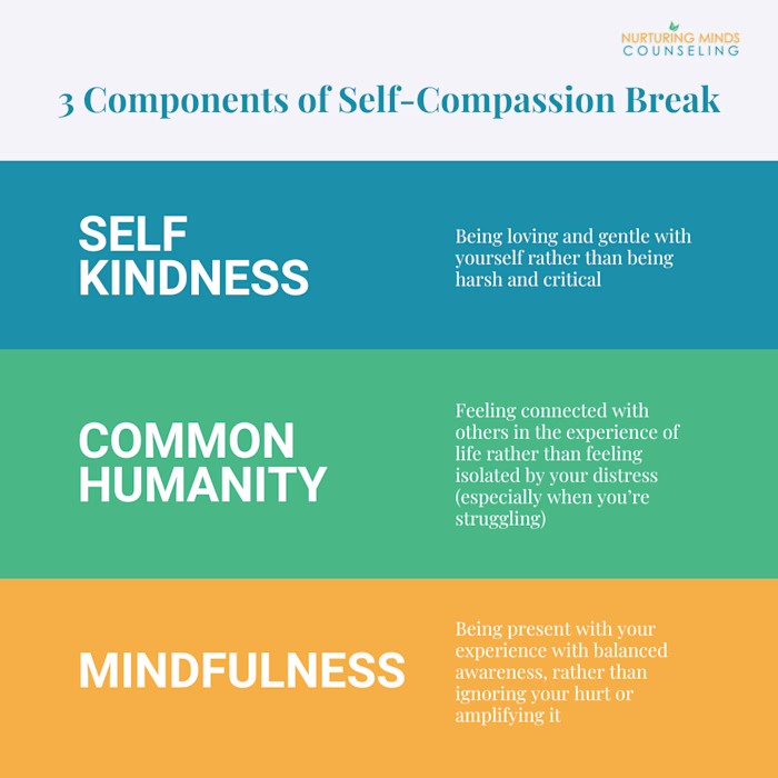 IG Post - 3 Components of Self-Compassion Break