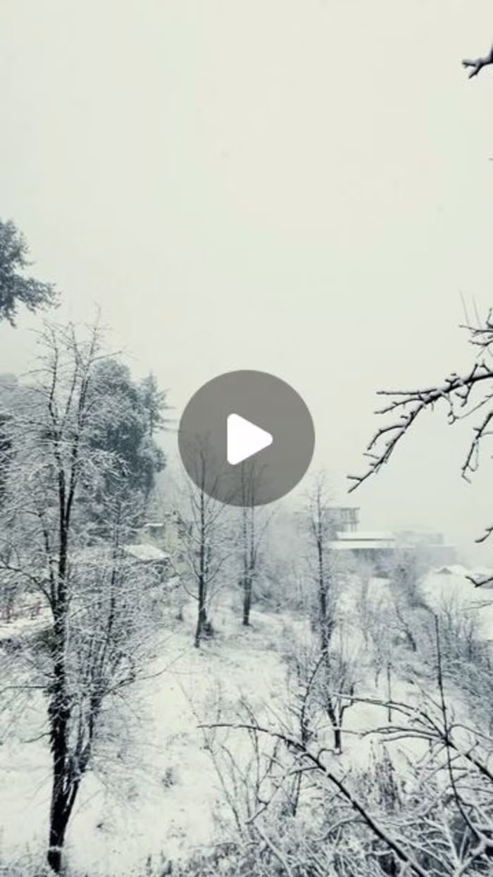 Sahil on Instagram: “POV:You just woke up, and it's snowing🌨️"