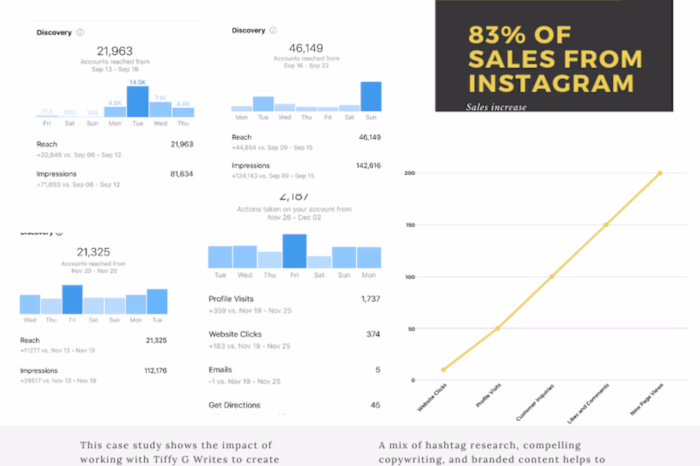Social Media Marketing Case Study