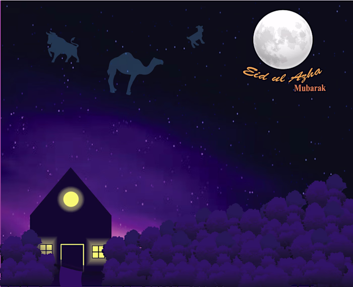 POST CARD DESIGN