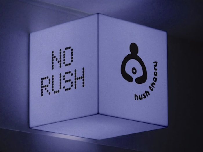 Hush Theory Identity and Social Media Strategy