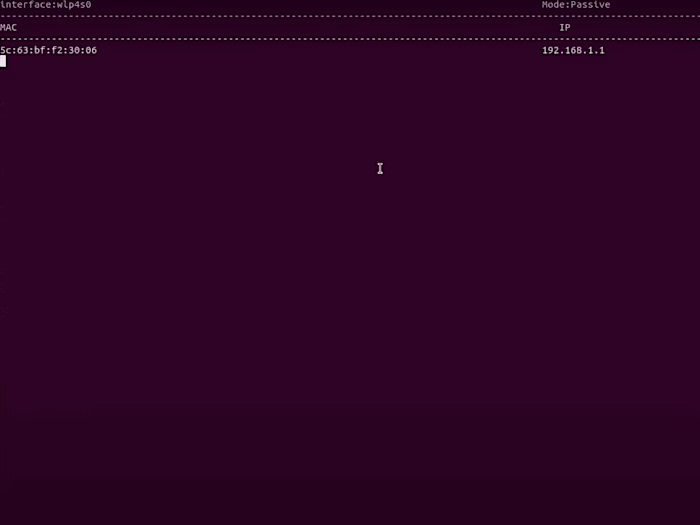 Network Reconnaissance Tool