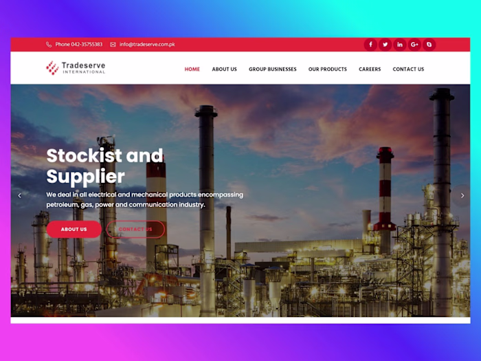 Tradeserve International Corporate Website Design
