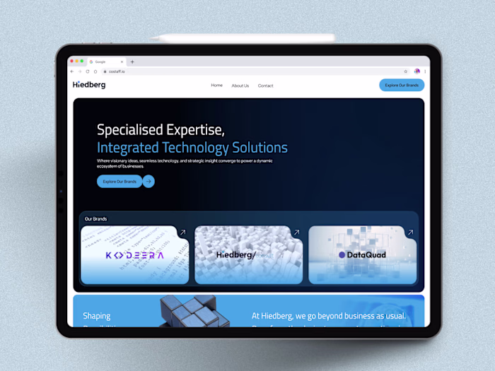Hiedberg — All-in-One IT Solutions Partner