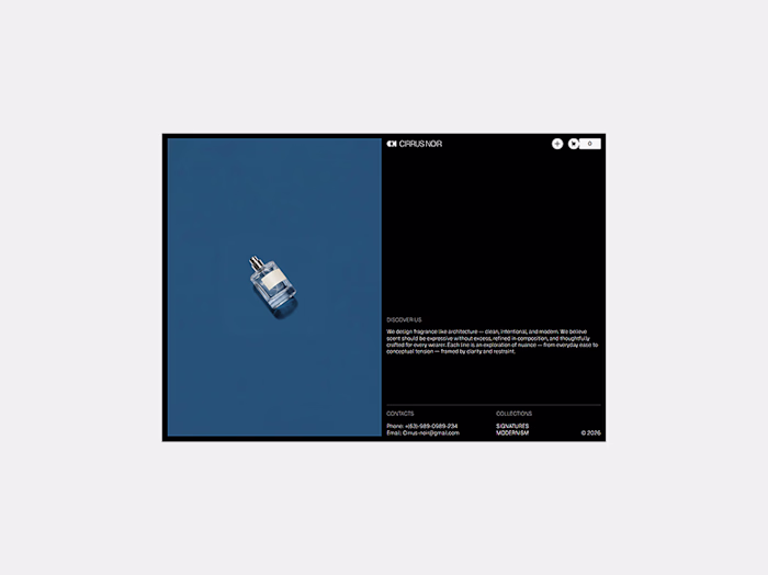 Boost Your Ecommerce with Webflow: Discover CIRRUS NOIR