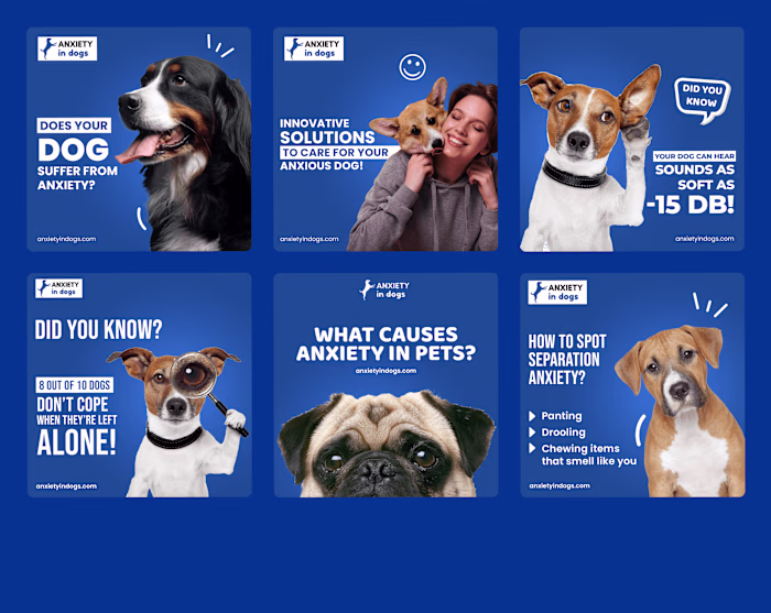 SOCIAL MEDIA POST DESIGN | PET CARE | DOGS CARE
