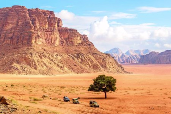 Travel blogs