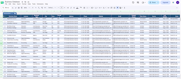 Business Data Management in Excel