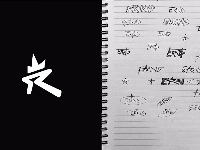 Logo and Brand Identity design for ERND