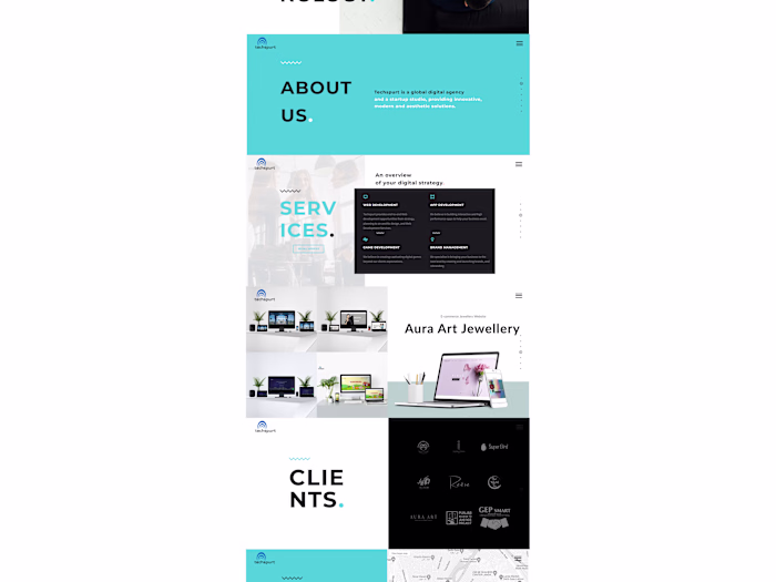 Techspurt Web Development(Software Company) 