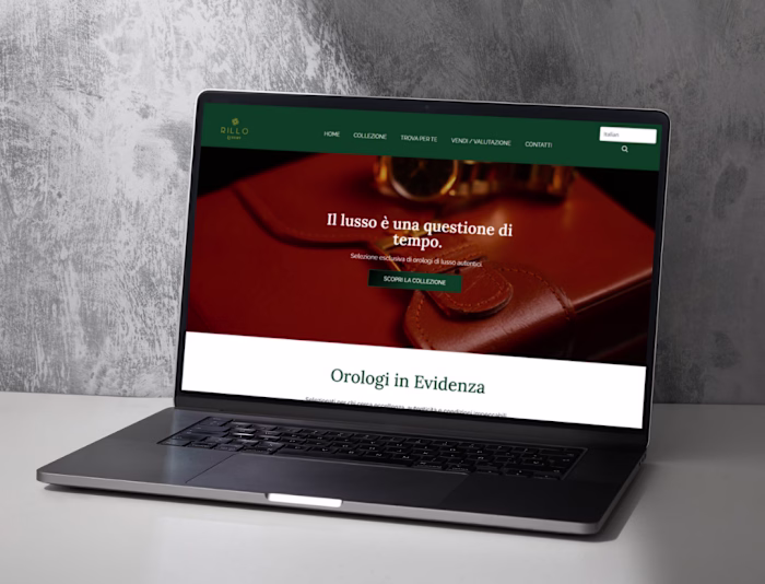Premium Watch Website Development