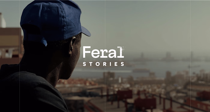 Audiovisual Production Company | Feral Stories