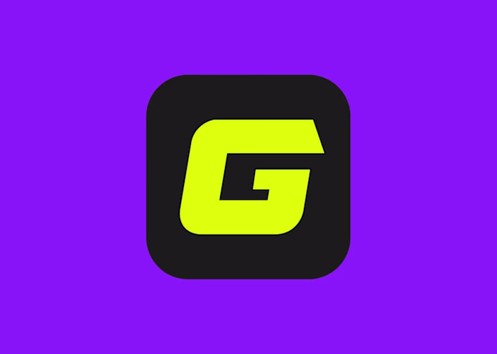 GVT Membership Website (https://vladigal.com/) -