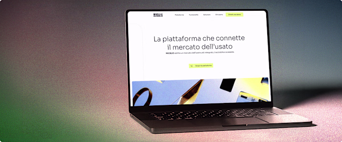 Micelio B2B Platform and Brand Development