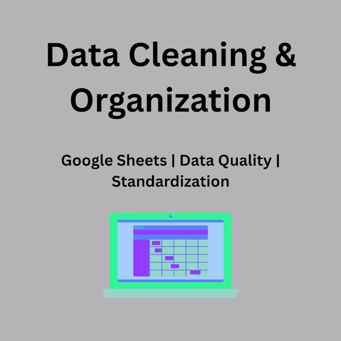 Data Cleaning & Organization