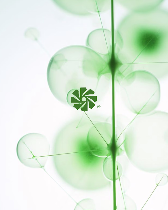 Nodus - Marketing Agency