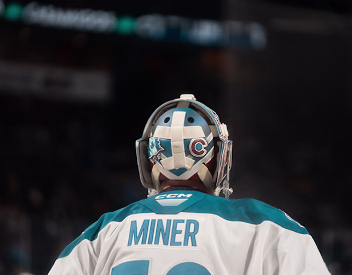Colorado Eagles Photography