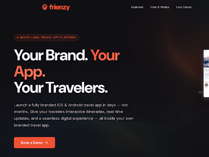 Frienzy Development