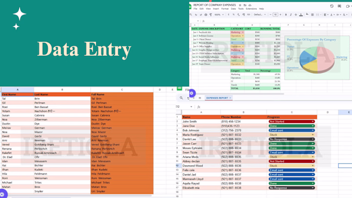 An Organized and Accurate Data entry 