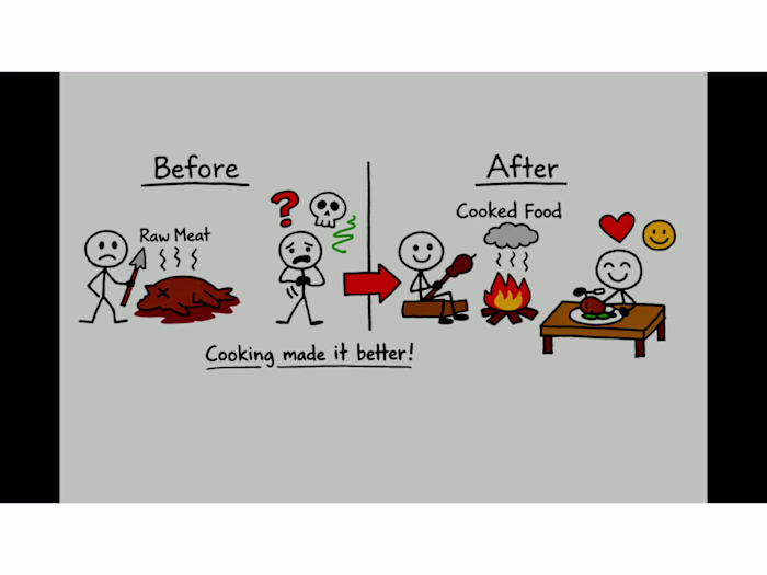 How Humans Learned to Control Fire - Visual Explainer