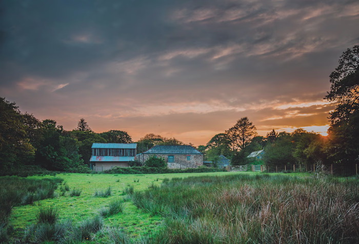 Grassroots gastronomy: the rise and rise of farm-to-table dining