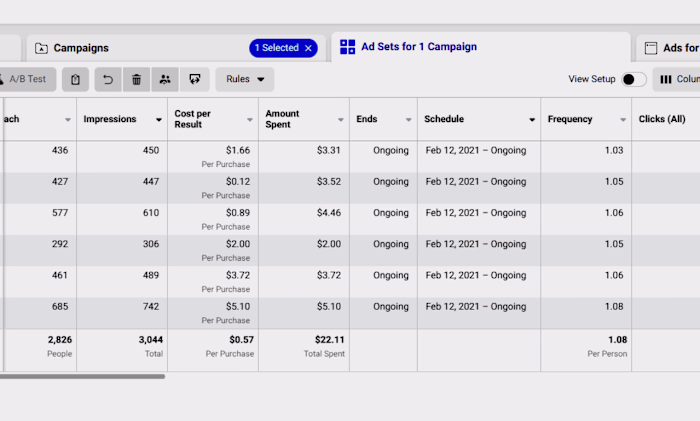 Record Breaking Cost Per Result in 2021 with Facebook Ads