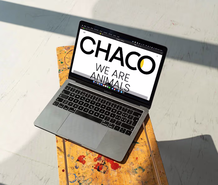 CHACO — Custom Wordpress Theme