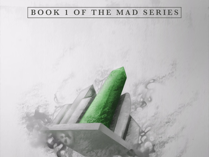 Mad City Book Cover