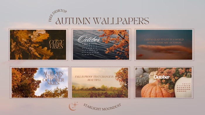 Autumn Vibes Wallpapers! October Edition.