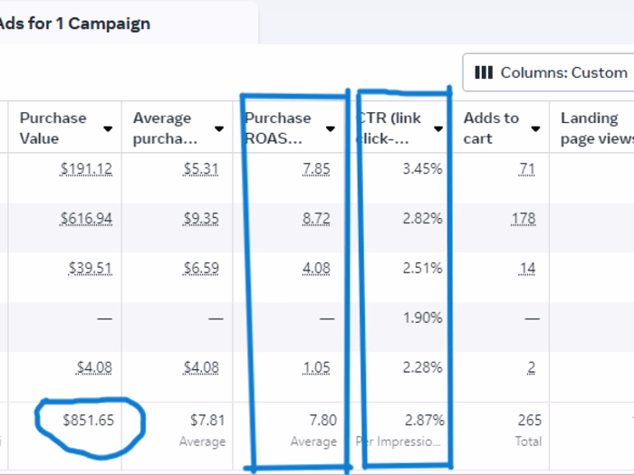 Successful Facebook Ad Campaign 7.80 ROAS