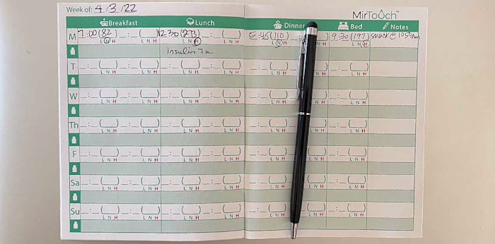 Looking for a Diabetic Logbook? Look No Further