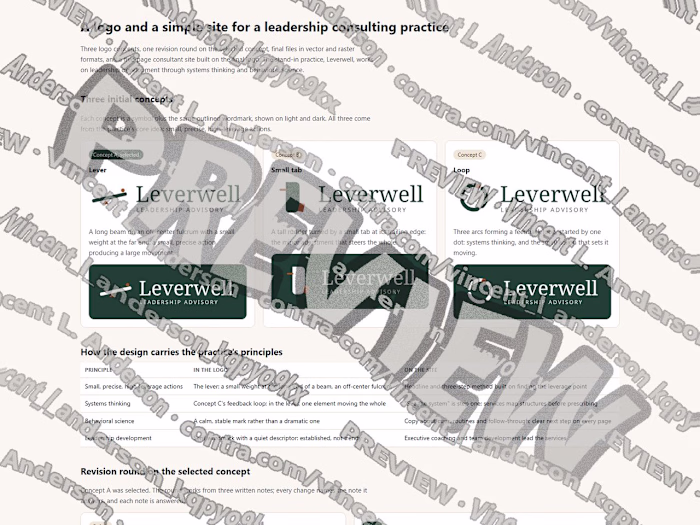 Consultant logo concepts and five-page site