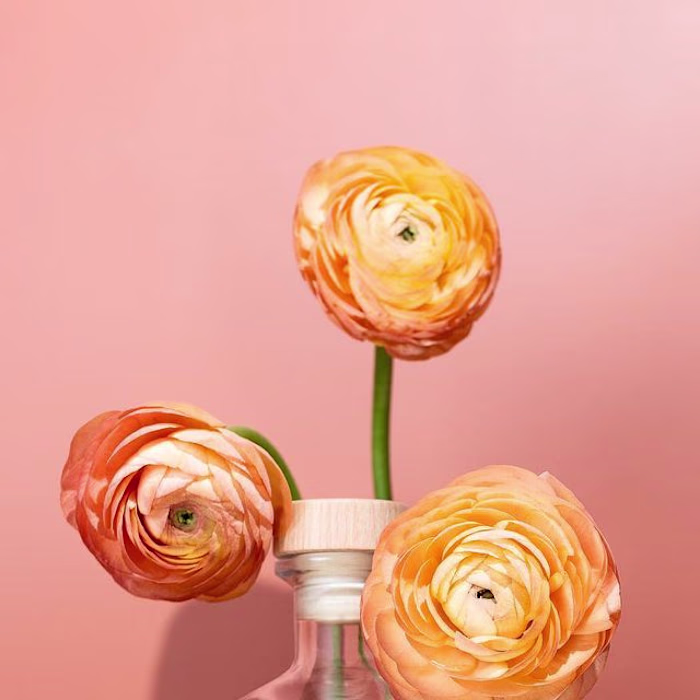 Product Photography: Atōst