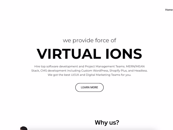 WordPress Website