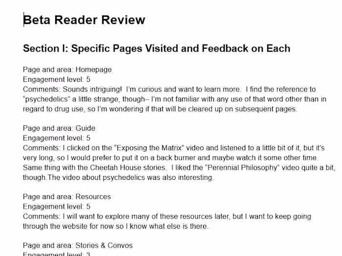 Evaluated a client's website